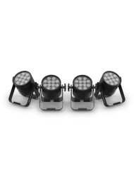 Аккумуляторные прожекторы Chauvet Freedom Par Q12 X4 (комплект 4 шт. в сумке)