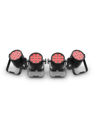 Аккумуляторные прожекторы Chauvet Freedom Par Q12 X4 (комплект 4 шт. в сумке)