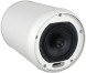Пассивная акустическая система Tannoy OCV 6